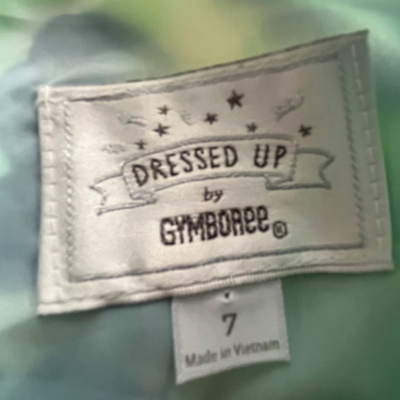 Gymboree Girls Party Dress - Picture 5 of 5